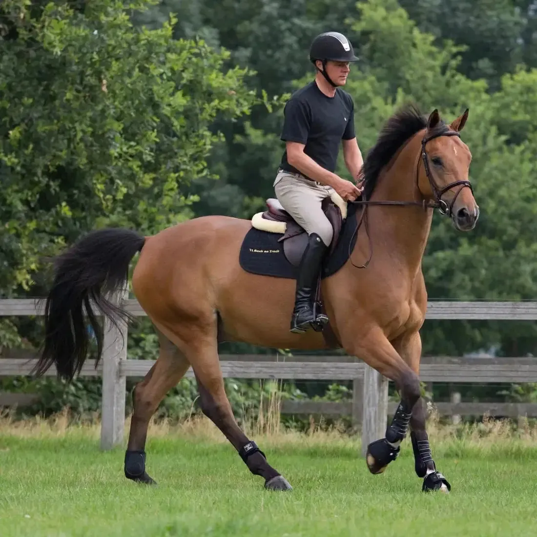 Royal Dressage Front Boots